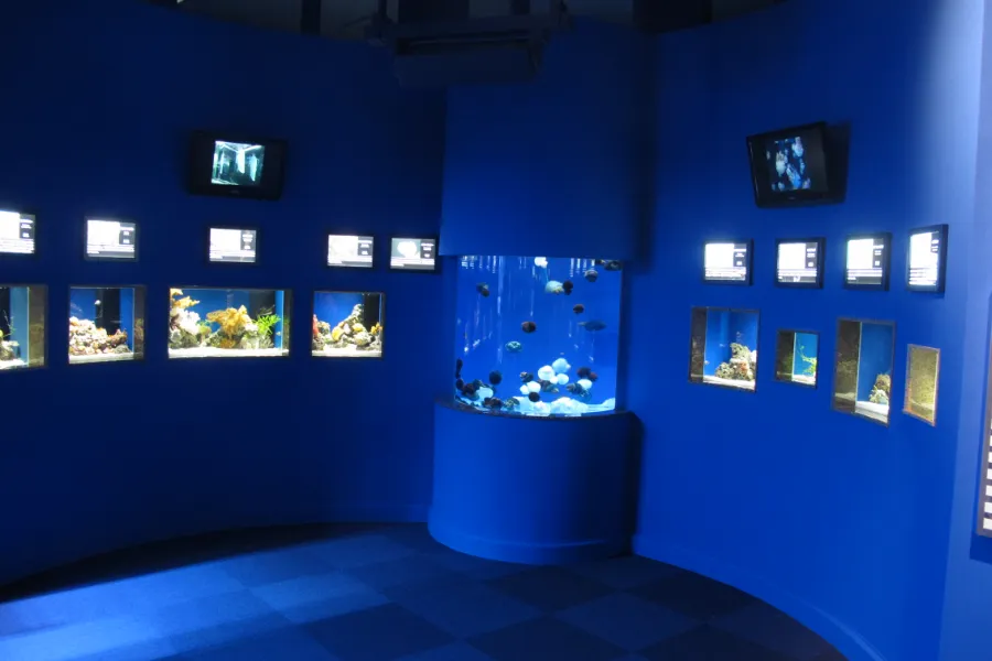 施工実績